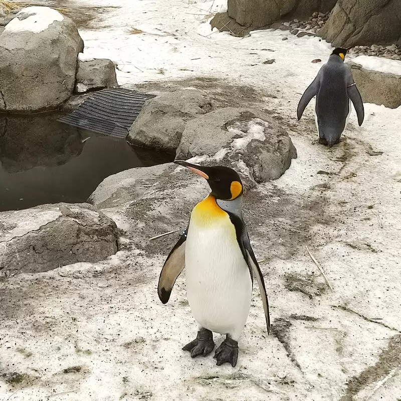 Calgary Zoo