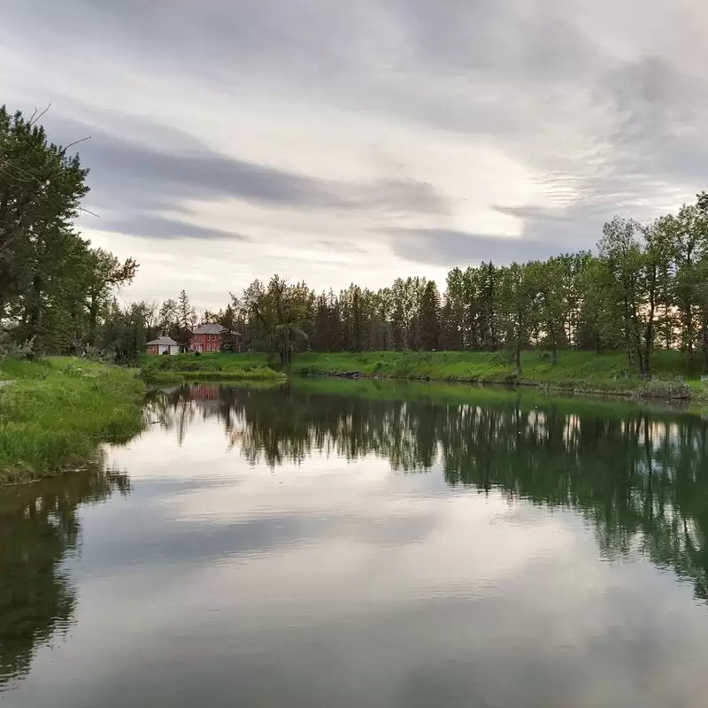 Inglewood Bird Sanctuary & Nature Centre