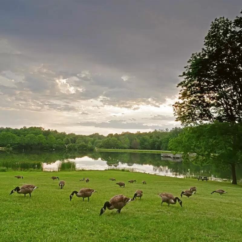 Fort Harrison State Park