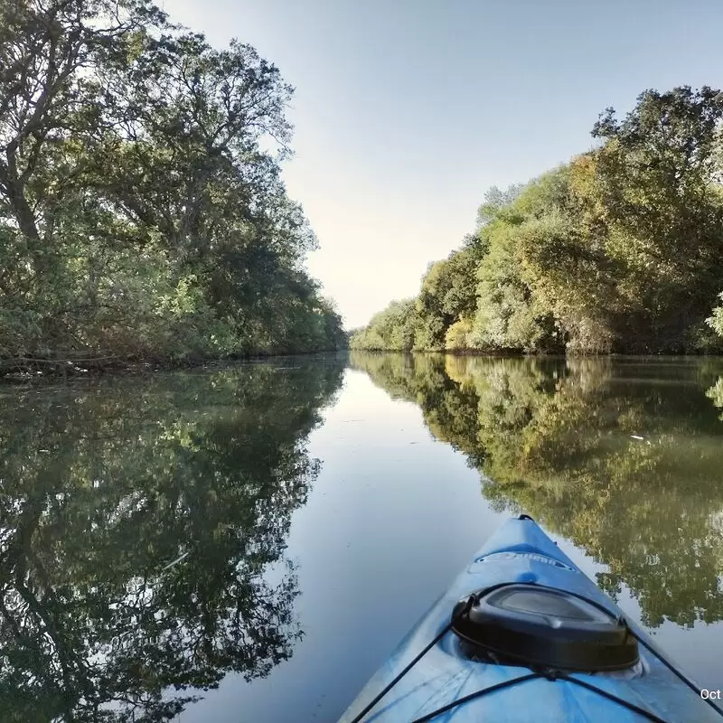 Cosumnes River Preserve