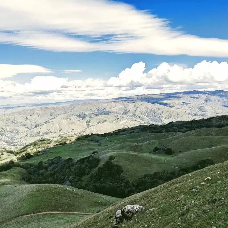 Mission Peak Regional Preserve