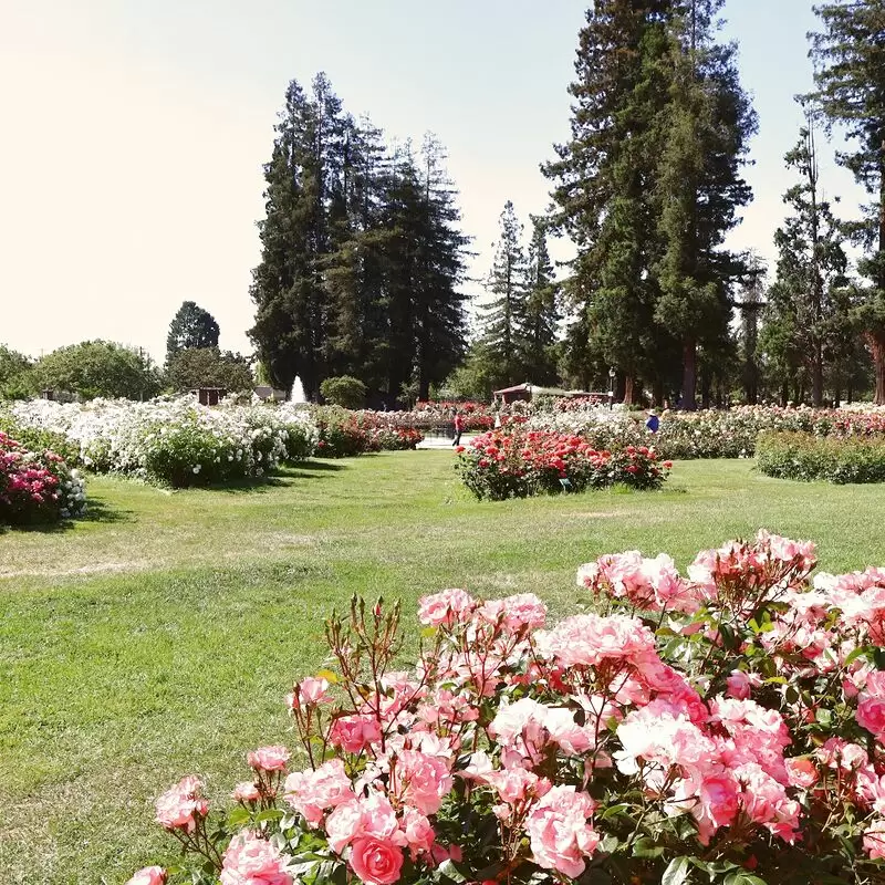 Municipal Rose Garden