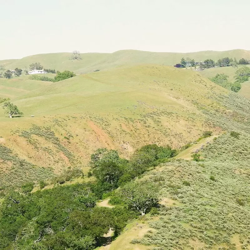 Sunol Regional Wilderness