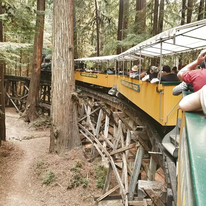 Roaring Camp