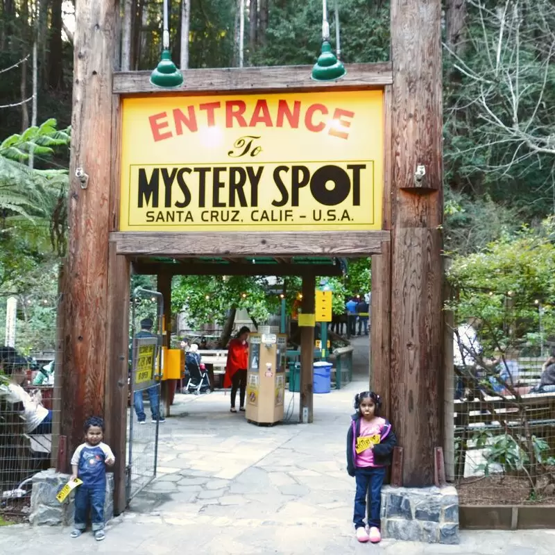 The Mystery Spot