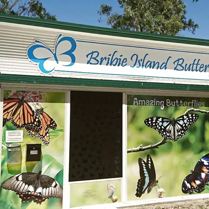 Bribie Island Butterfly House