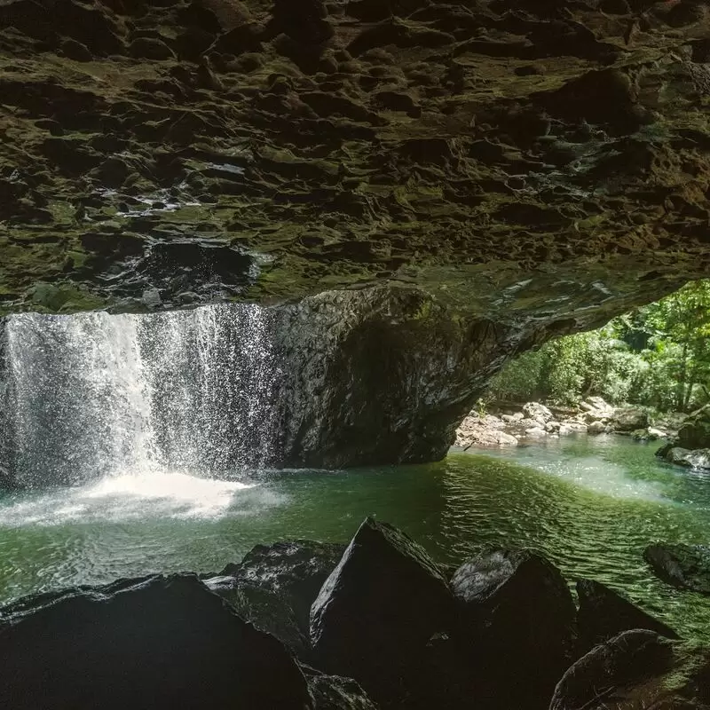 Springbrook National Park