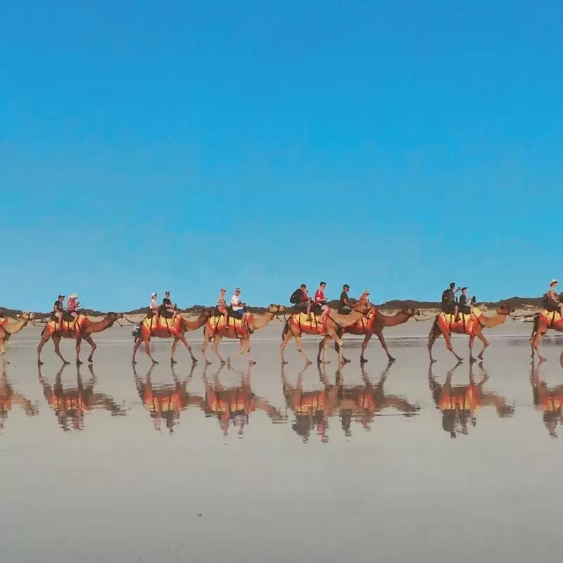 Cable Beach Camels Camel Rides