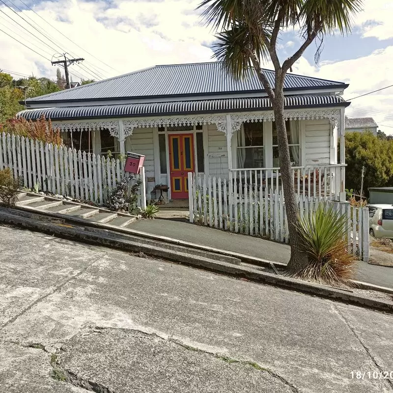 Baldwin Street The Steepest Street in the World