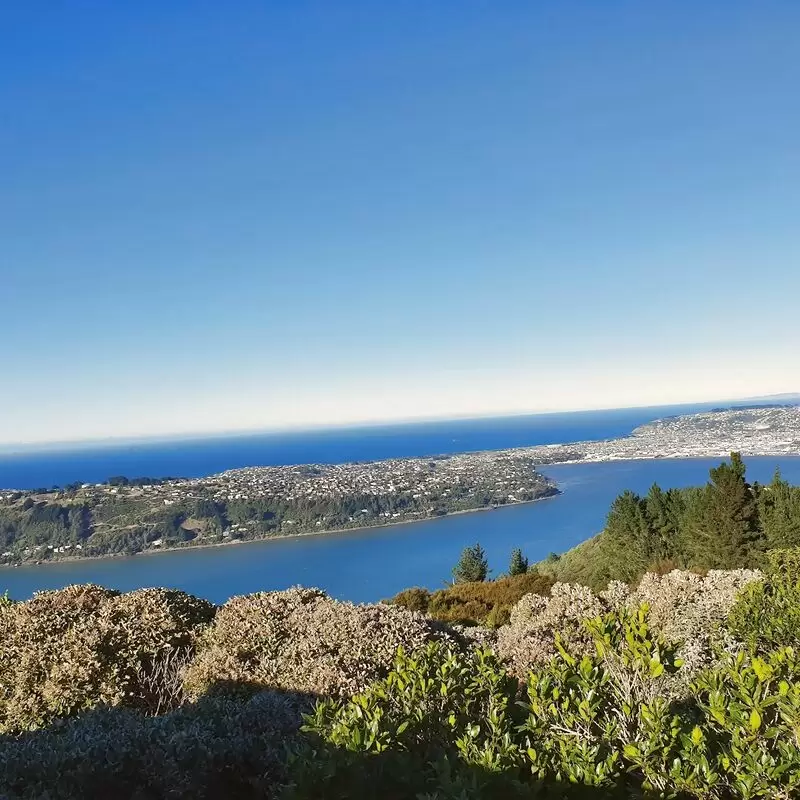 Signal Hill Lookout