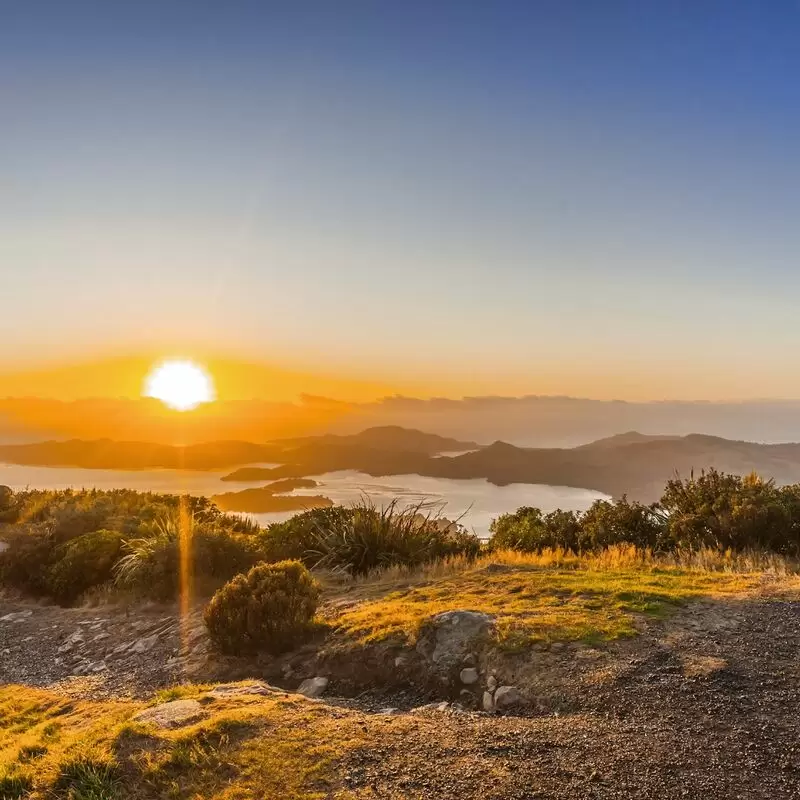 Mount Cargill Lookout