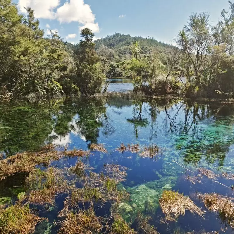 Te Waikoropupu Springs