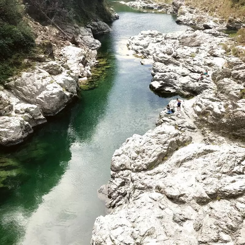 Pelorus Bridge Scenic Reserve