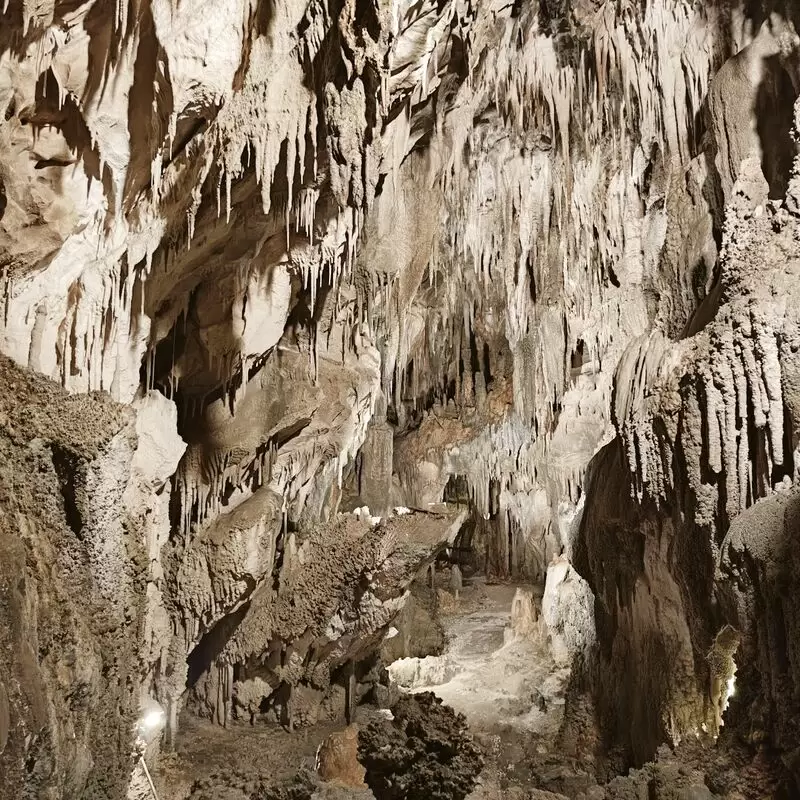 Ngarua Caves