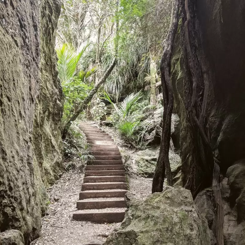 The Grove Scenic Reserve