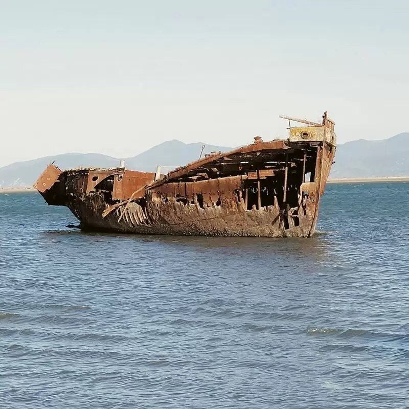 Janie Seddon Shipwreck