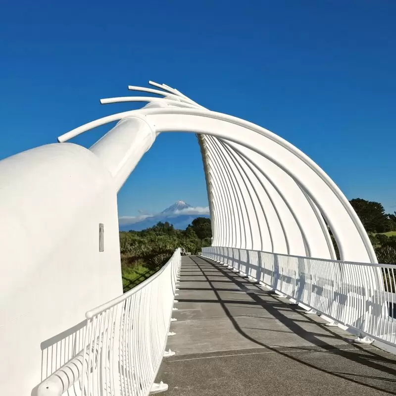 Te Rewa Rewa Bridge