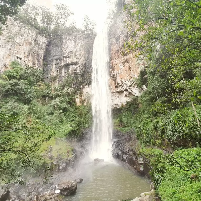 Purling Brook Falls Springbrook National Park