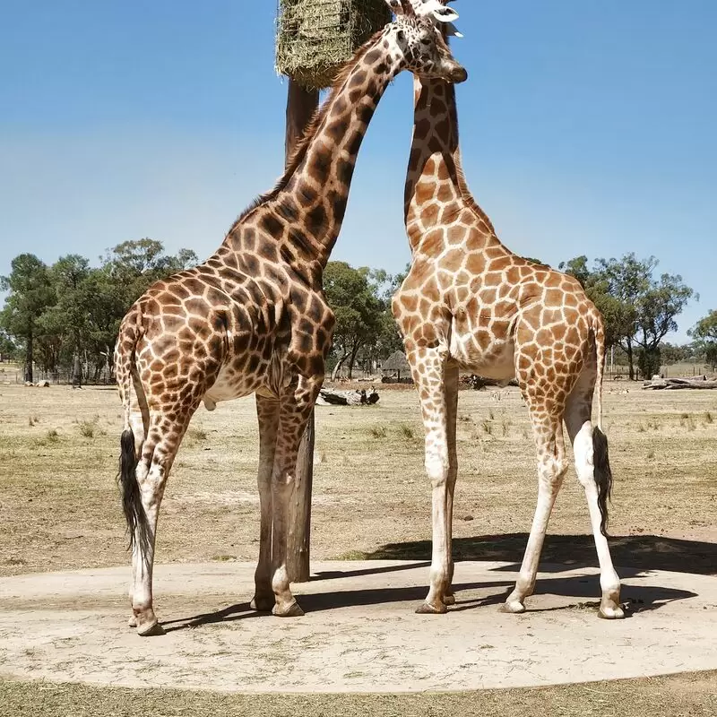 Taronga Western Plains Zoo