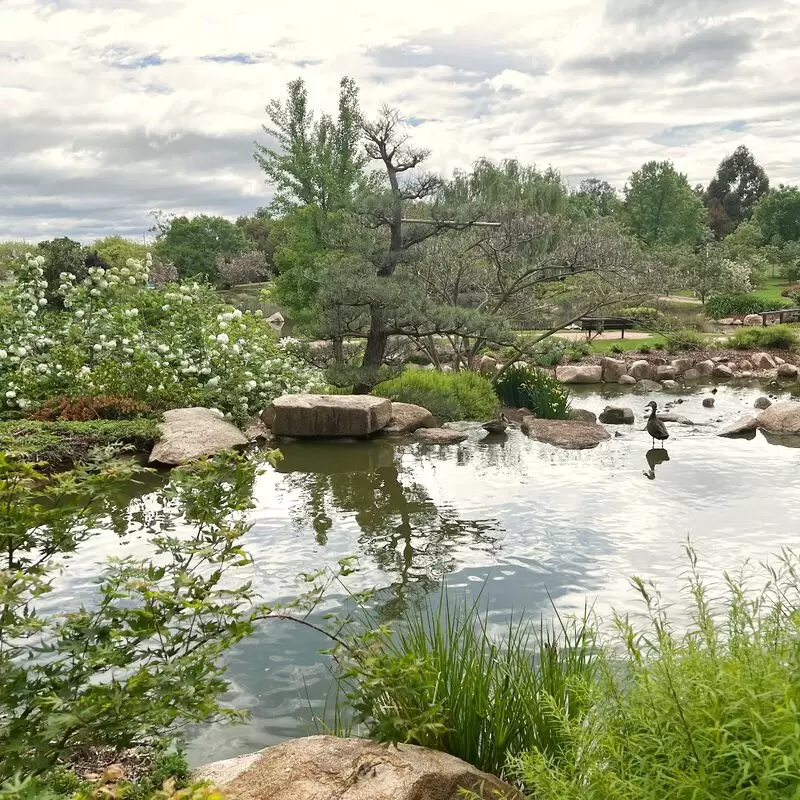 Dubbo Regional Botanic Garden