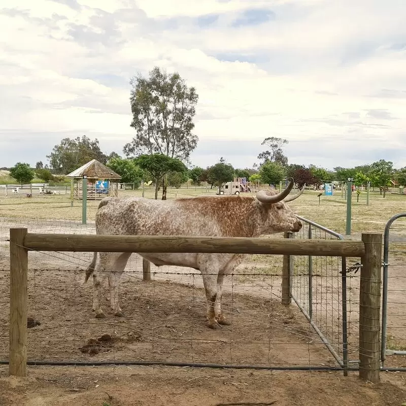 Billabong Ranch