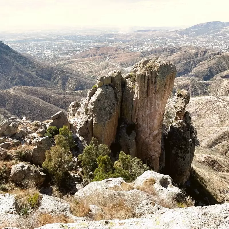 El Cerro de La Bufa