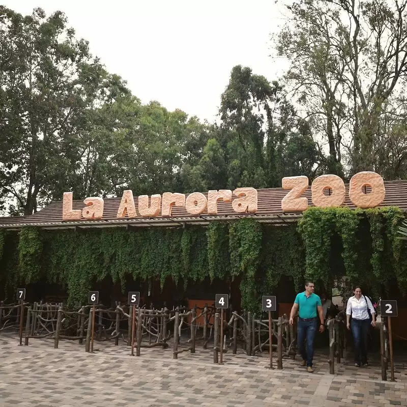 La Aurora Zoo