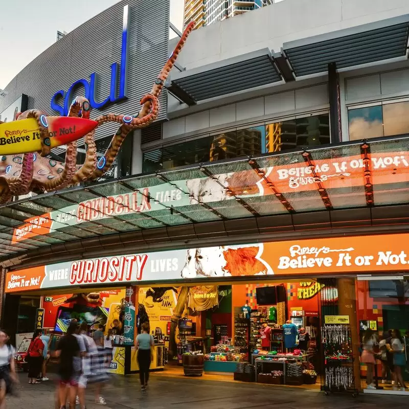 Ripley's Believe It or Not Surfers Paradise