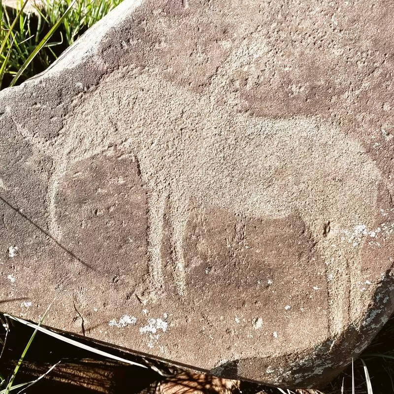 Wildebeest Kuil Rock Art Centre