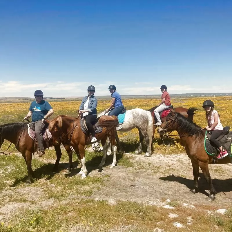 Drikus Horse Trails Paternoster