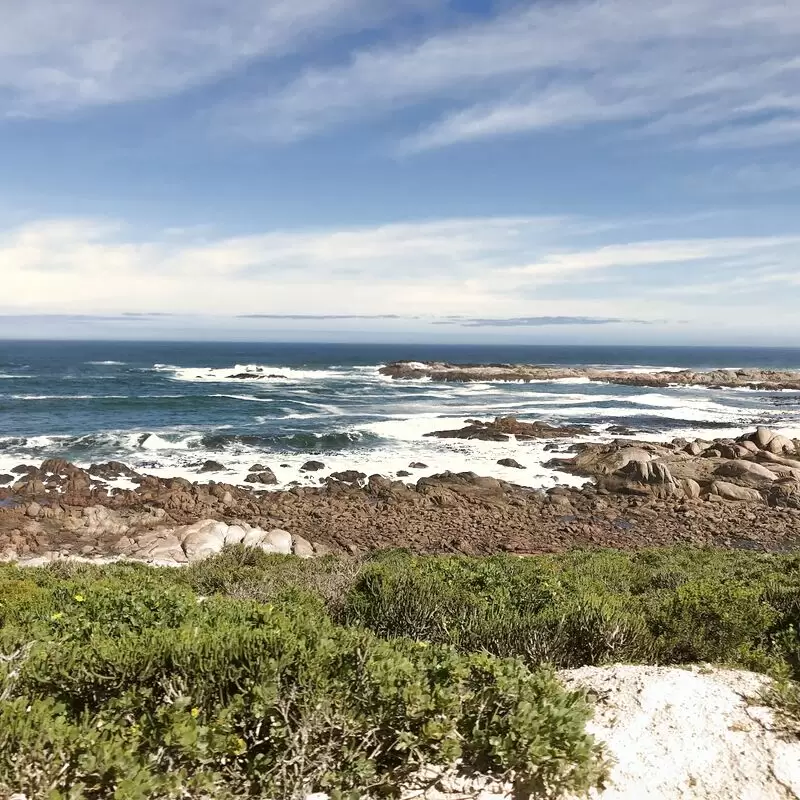 Cape Columbine Nature Reserve