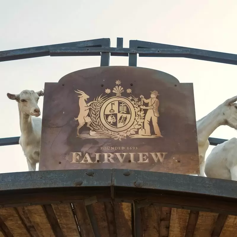 Fairview Wine and Cheese