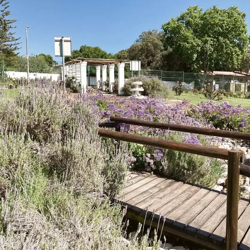 Durbanville Rose Garden