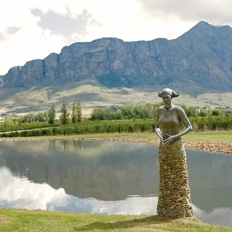 Saronsberg Wine Cellar