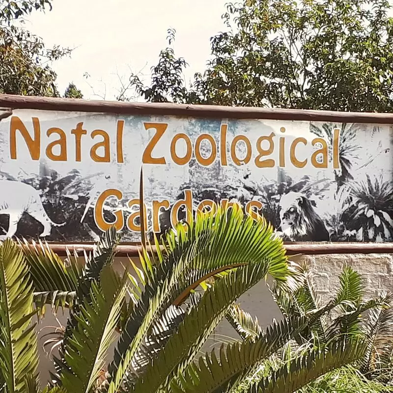 Natal Zoological Gardens