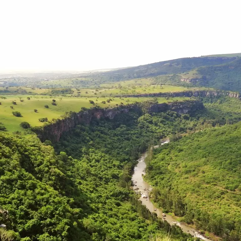 Cumberland Nature Reserve