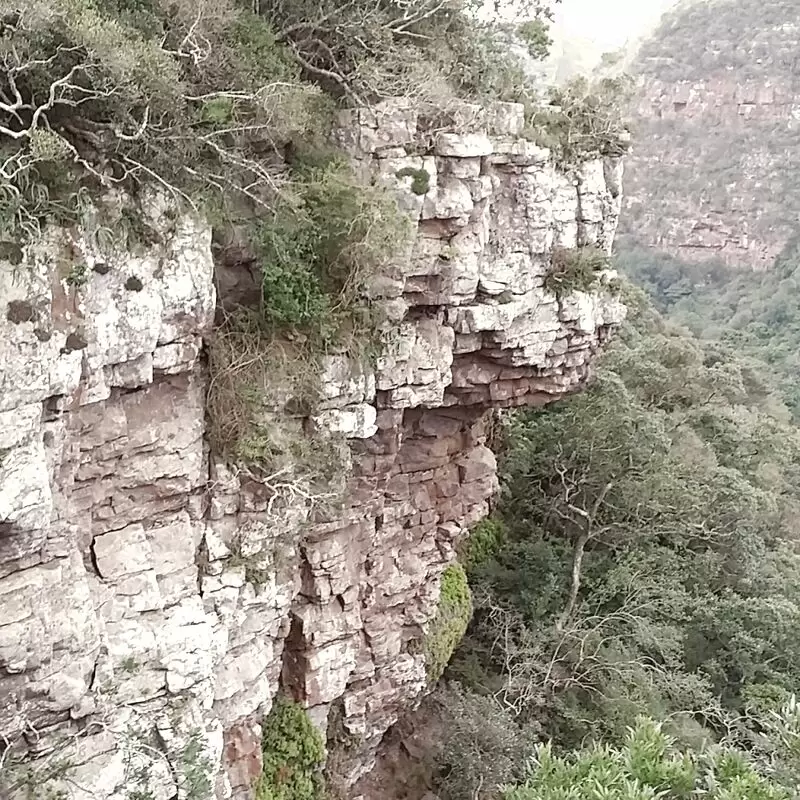 Krantzkloof Nature Reserve