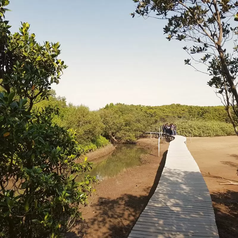 Beachwood Mangroves Nature Reserve