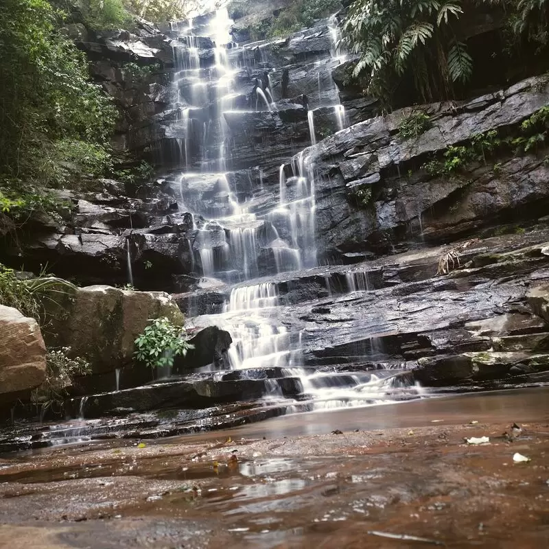 Nkutu Entrance Krantzkloof Nature Reserve