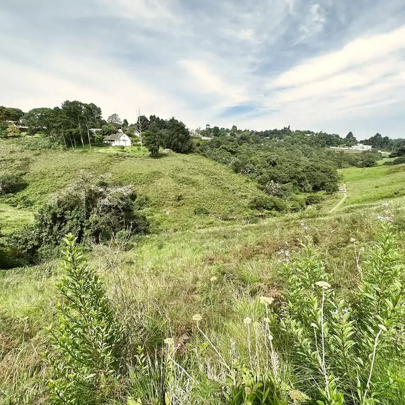 Springside Nature Reserve