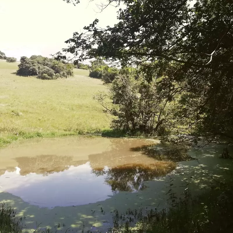 New Germany Nature Reserve