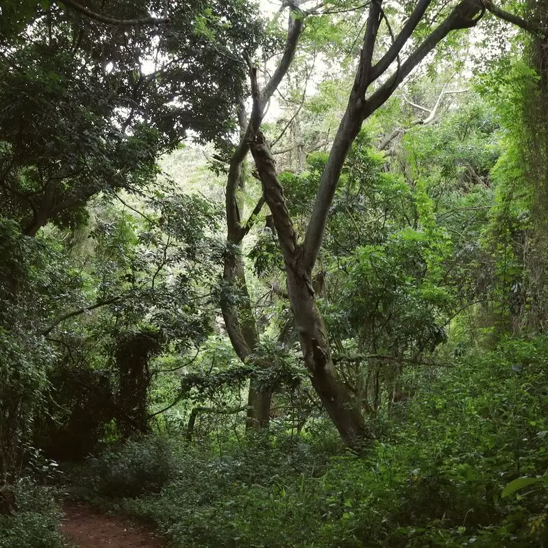 Virginia Bush Nature Reserve