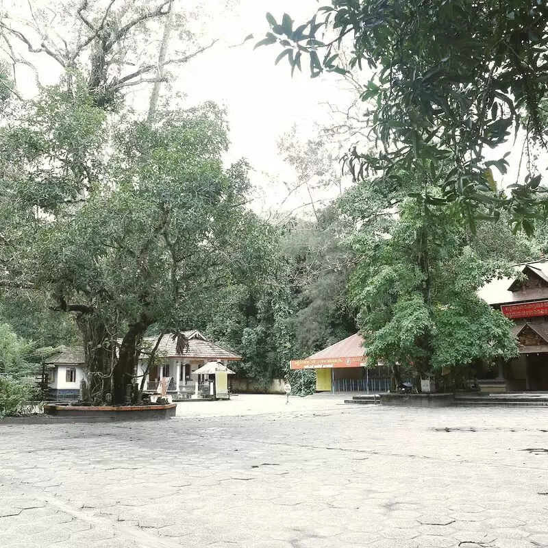 Mannarasala Sree Nagaraja Temple