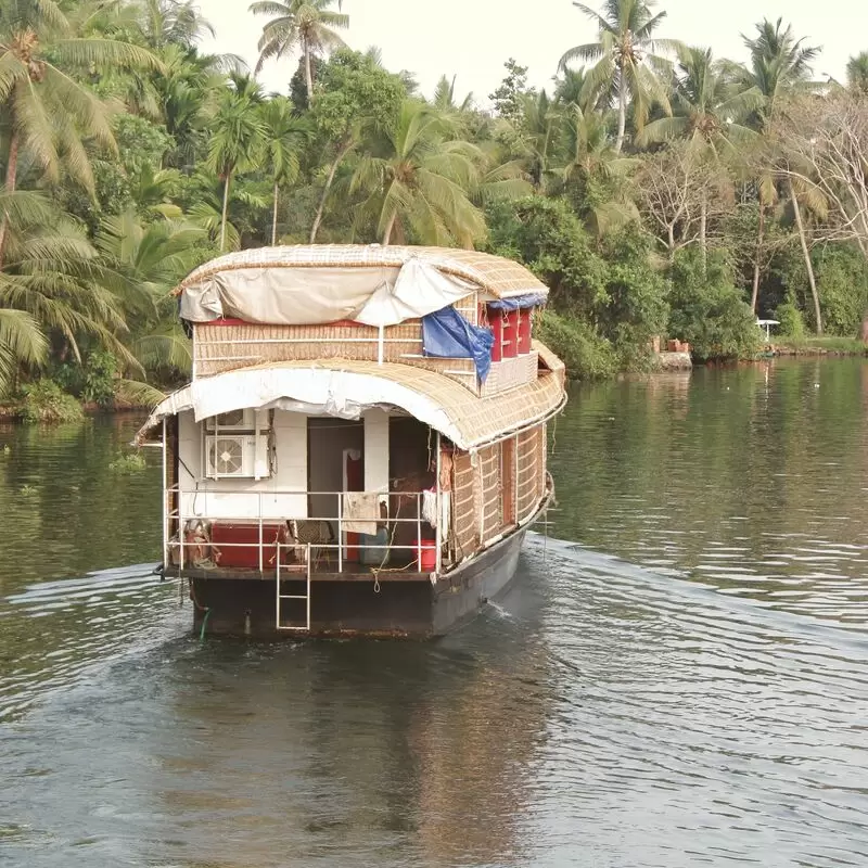 The Great Backwaters