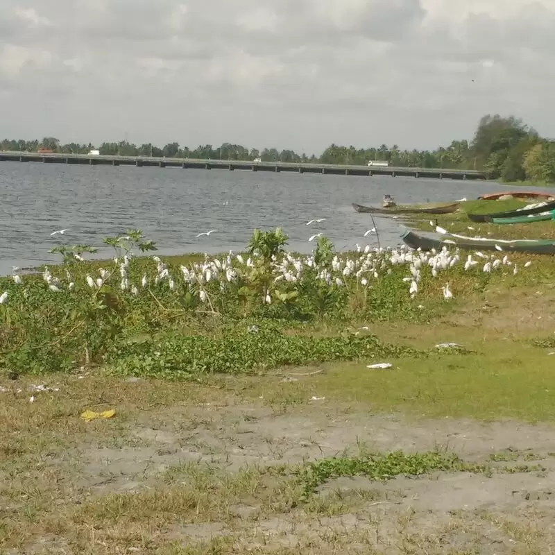 Thottappally Beach Alleppey