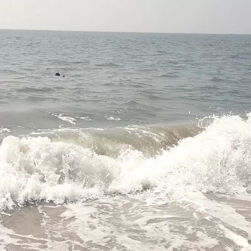 Alappuzha beach Alleppey beach