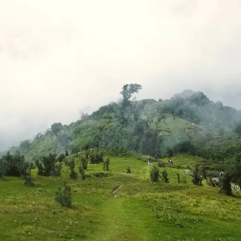 Singalila National Park