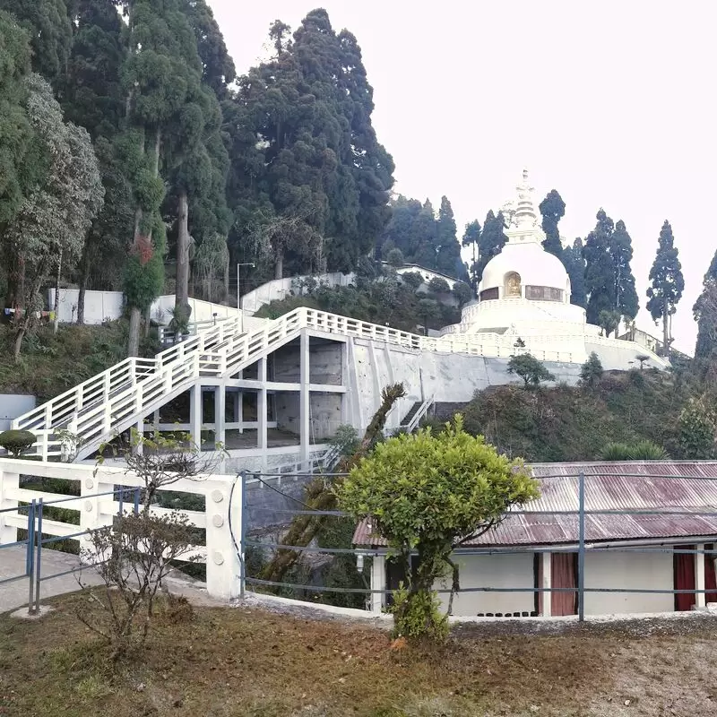 Peace Pagoda Darjeeling