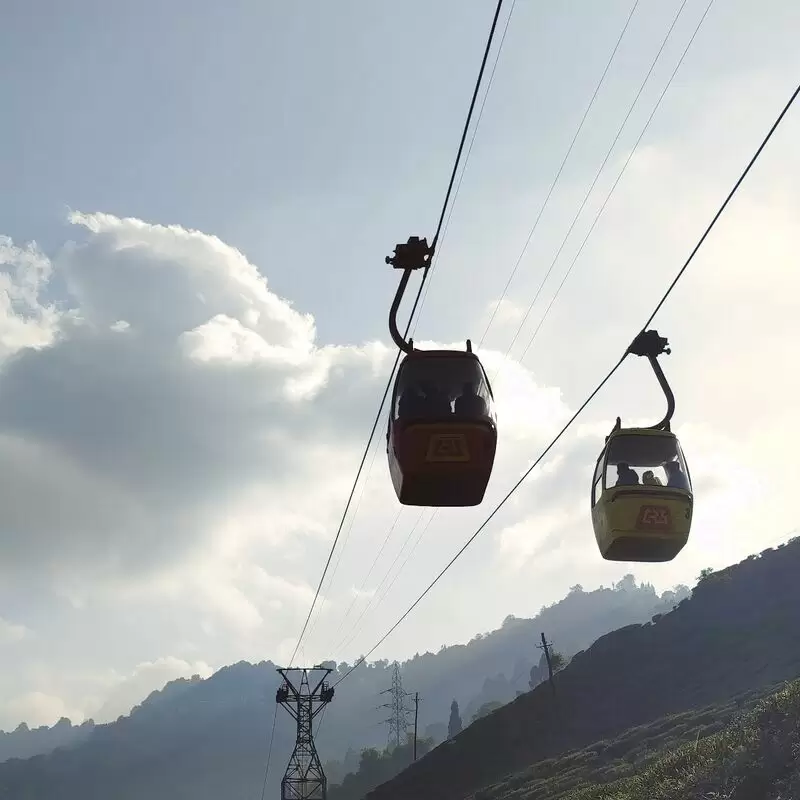 Darjeeling Rangeet Valley Passenger Ropeway