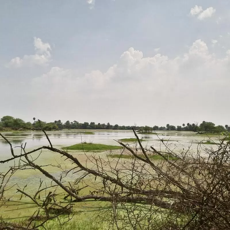 Keoladeo National Park